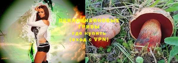 spice Кукмор