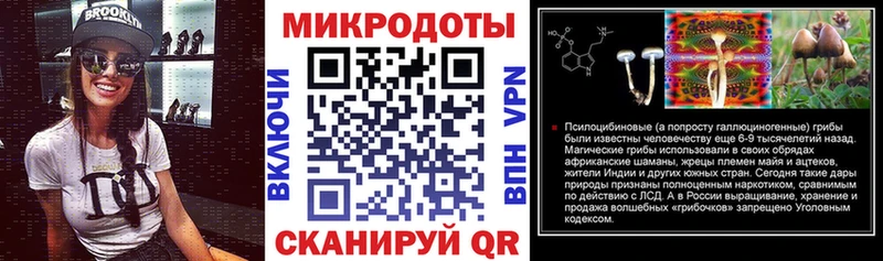 Псилоцибиновые грибы Psilocybe  как найти закладки  Козловка 